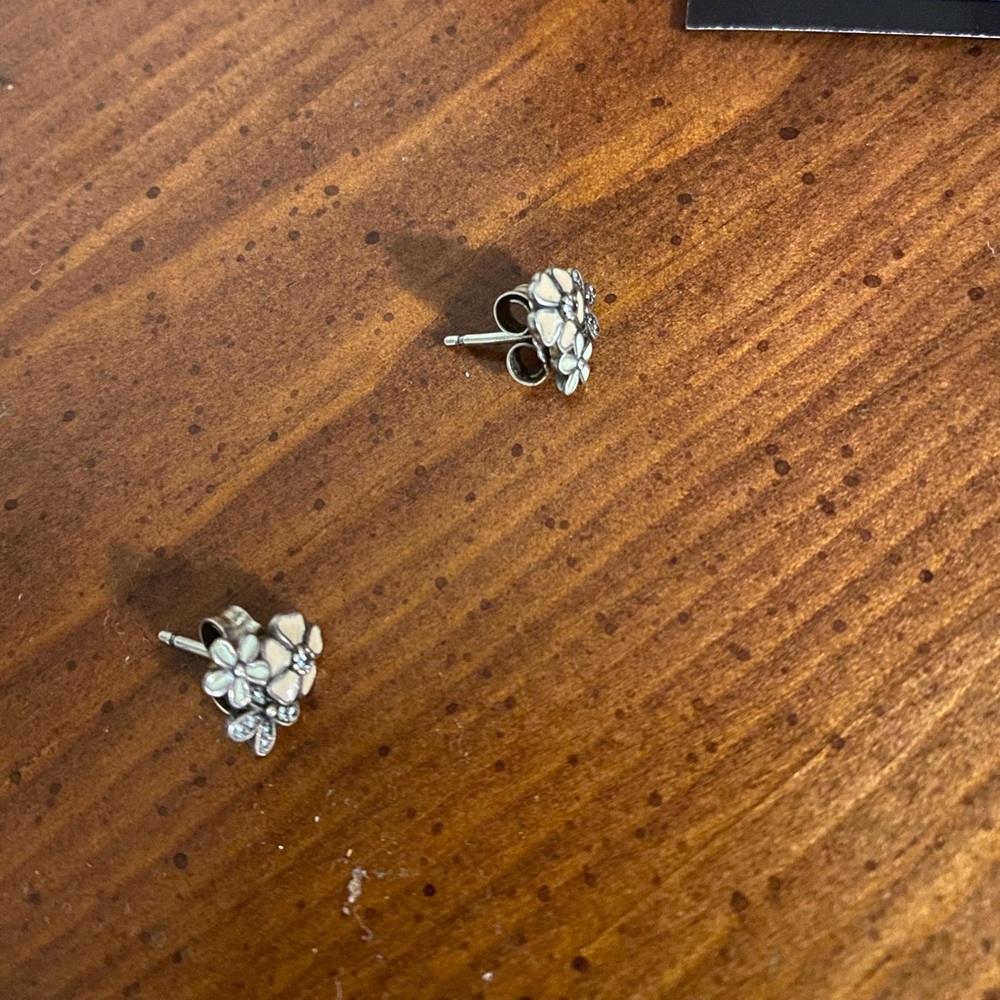 Pair of earring Pandora.